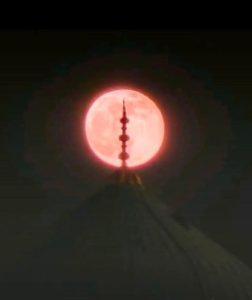 FB IMG 1762767009919