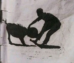 FB IMG 1762768212419