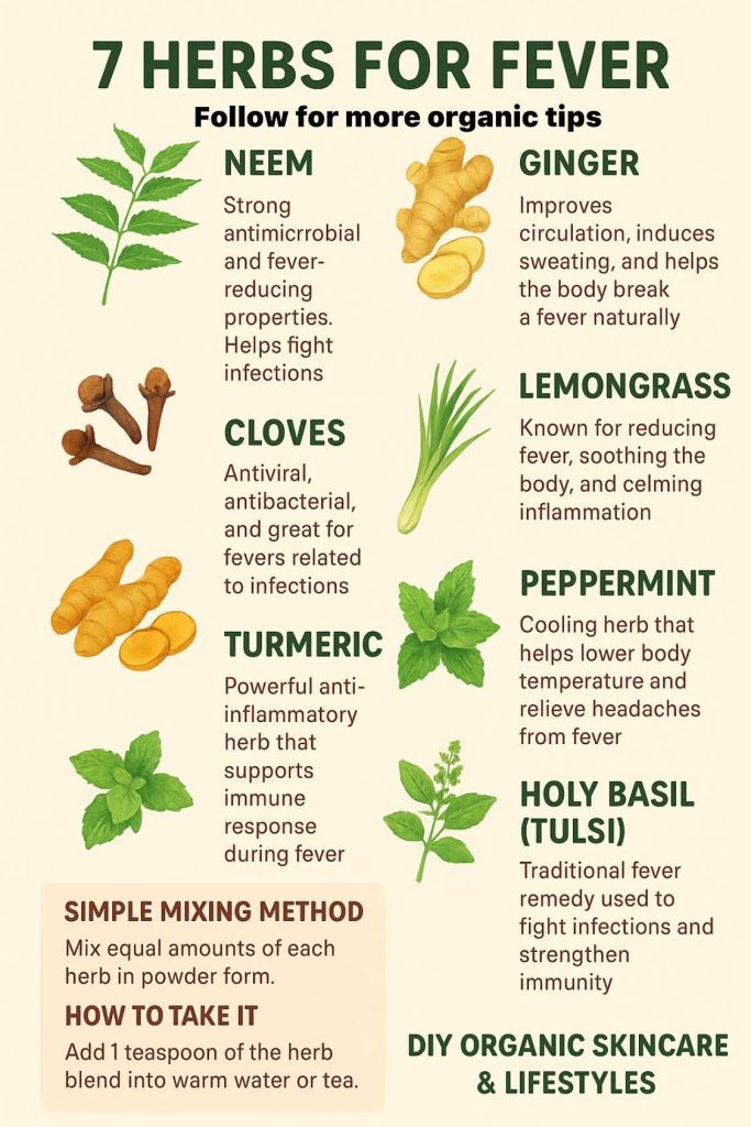 FB IMG 1764415930702