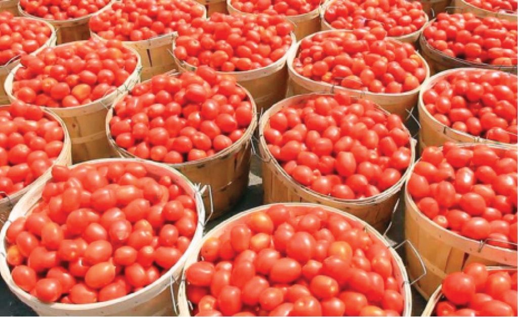 ImageDownload 24 01 2026 07 38 04